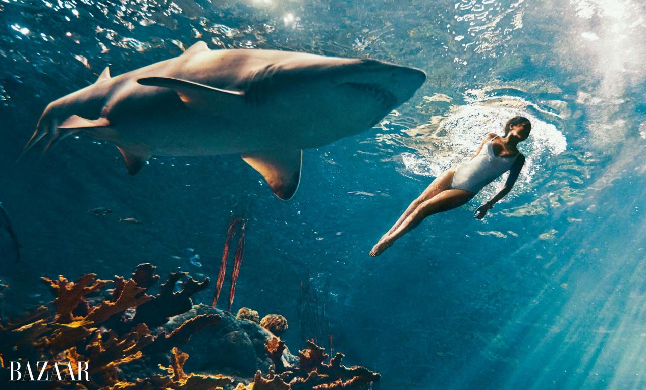 Rihanna swimming with sharks
